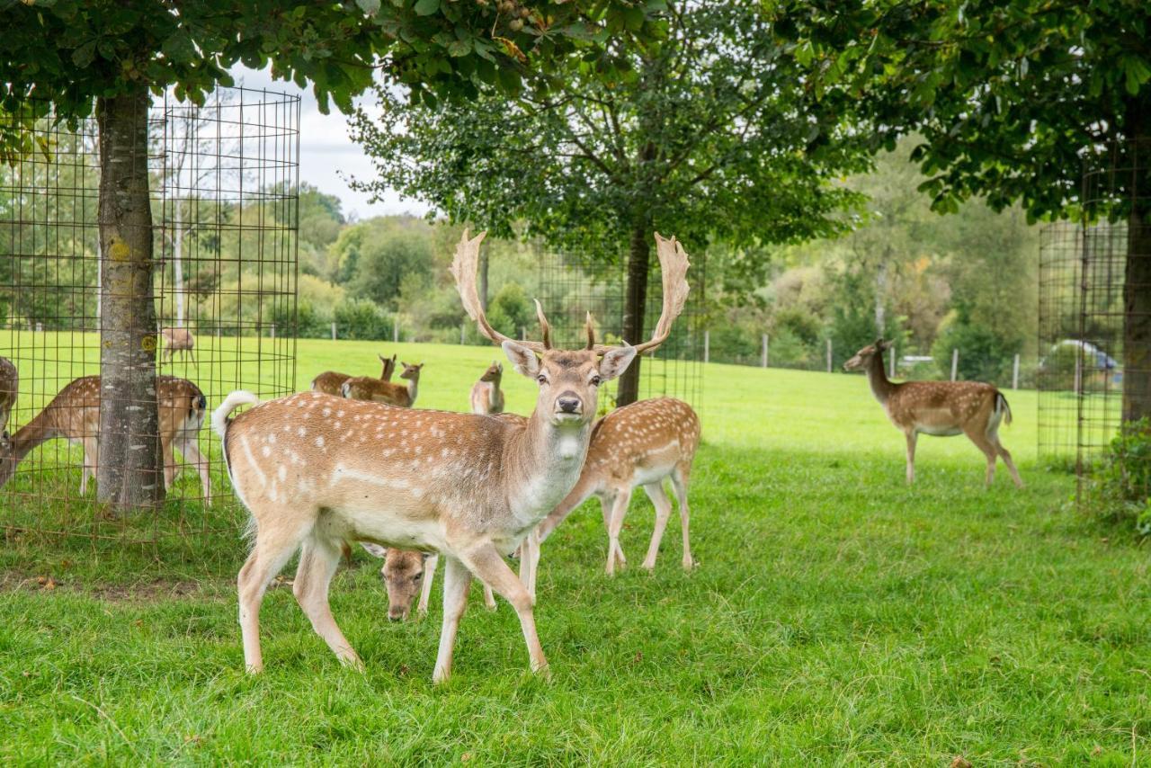 Hotel Hofgut Tiergarten Aulendorf Bagian luar foto